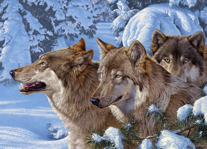 Lee Kromschroeder.Wolves of Winter (700x505, 142Kb)