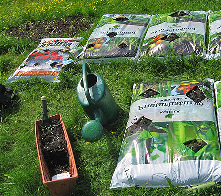 выращивание овощей в пакетах с землей