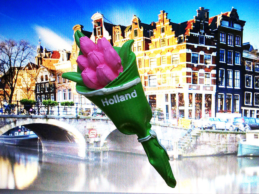 Фотофакт: как в Голландии выращивают тюльпаны к 8 Марта и не только