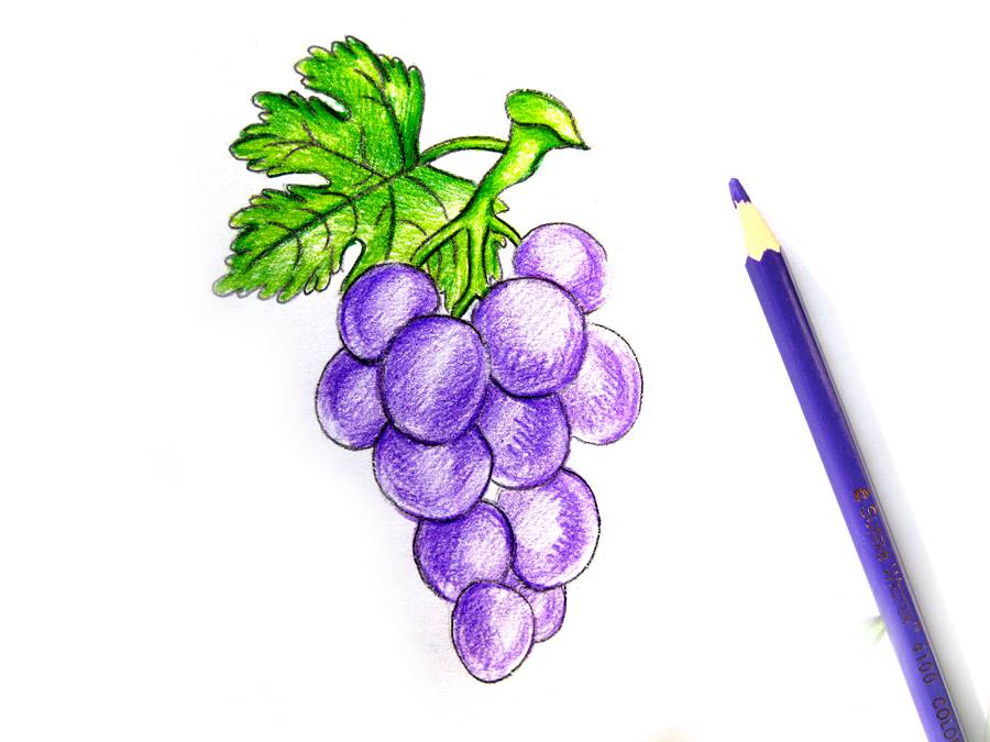 Как нарисовать виноград
