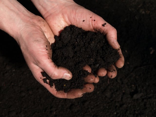5 причин не перекапывать землю, или Чем полезна безотвальная обработка почвы