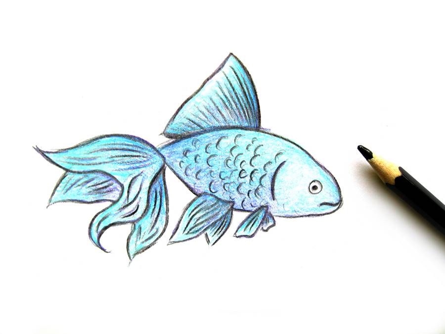 Как нарисовать рыбку
