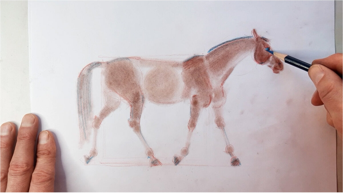 Простое рисование бледной лошадки