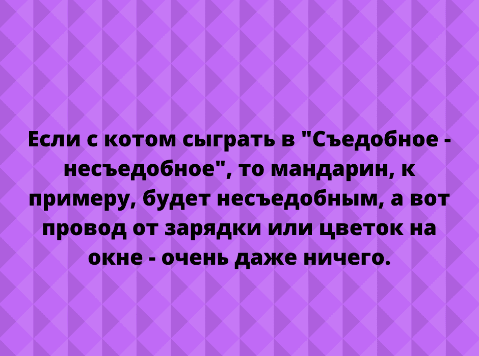 Когда узнал, что твой привычный образ жизни называется карантином... Ловите порцию позитива!