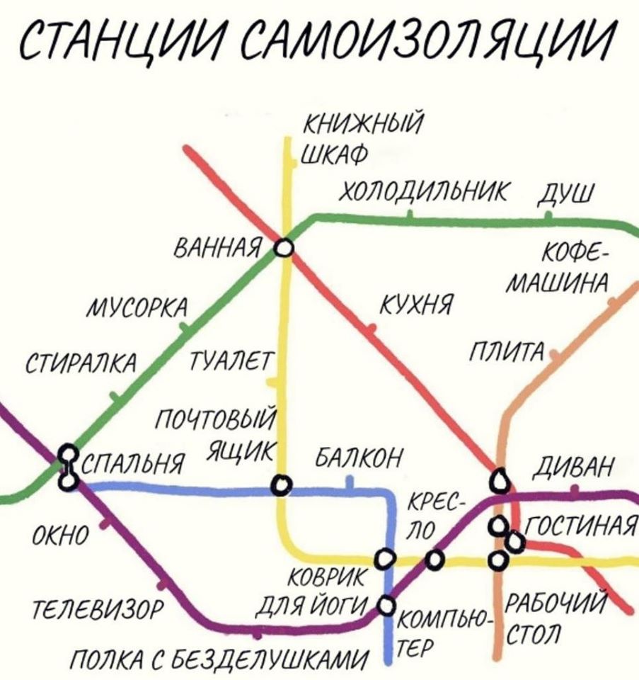 Когда узнал, что твой привычный образ жизни называется карантином... Ловите порцию позитива!