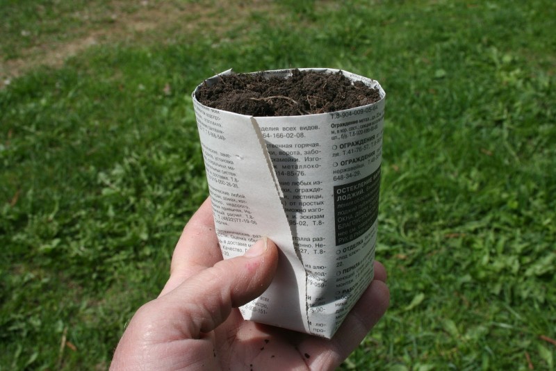 Как можно использовать газету в саду и на огороде