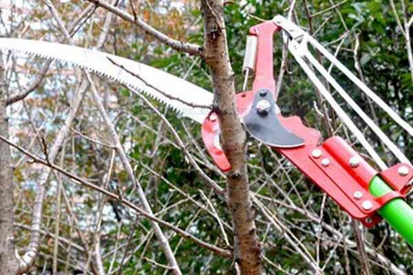 Обрезаем высокие ветки на деревьях: без стремянки и ползания по деревьям, удобнее и безопаснее
