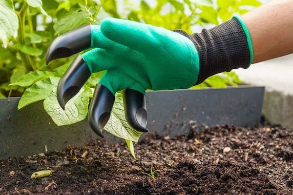 Необычные перчатки, которые здорово помогут в саду и огороде