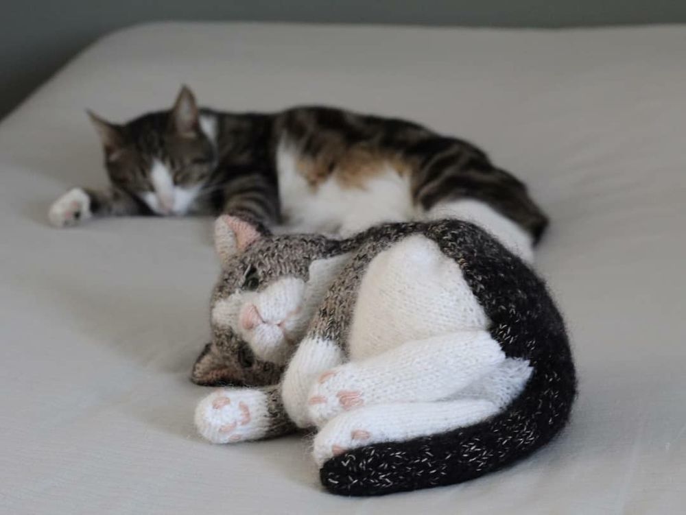 Самые милые котики из всех милых котиков: эти вязаные лапки и круглые животики пощекочат твое сердечко