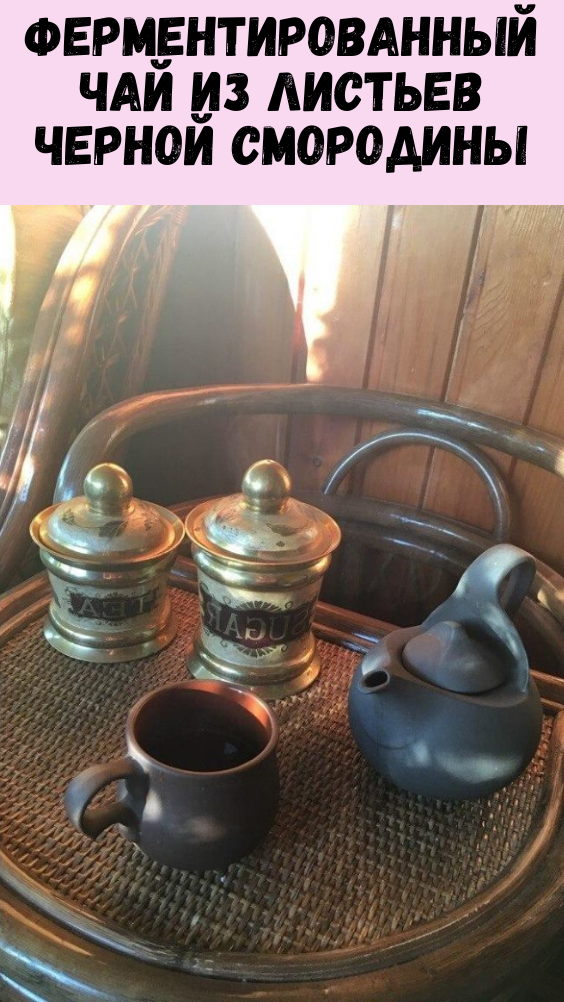 Ферментированный чай из листьев черной смородины
