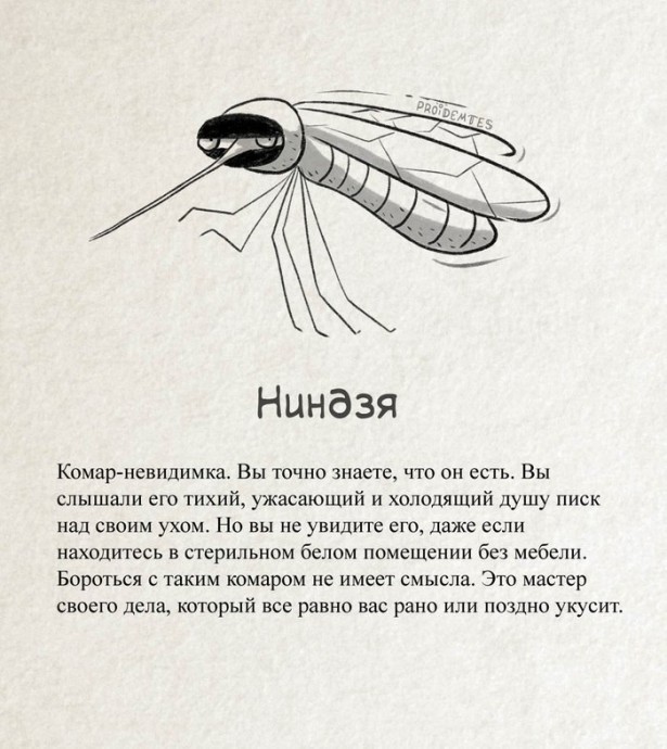 ​Как научиться разбираться в комарах 3