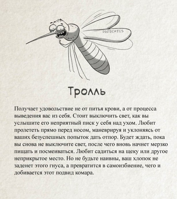 ​Как научиться разбираться в комарах 2
