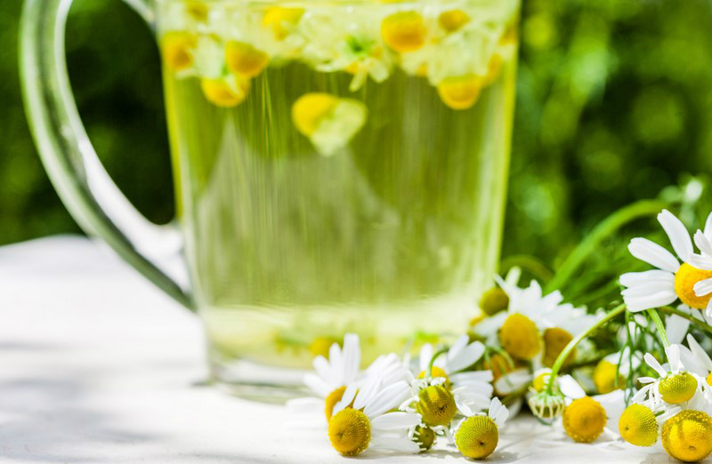 Что лечит чай из ромашки: 10 доказанных медициной свойств.