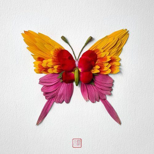 Насекомые, созданные из цветов от художника Раку Иноуэ