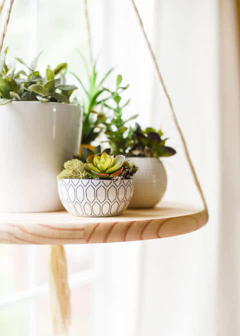 Домашние сады Семирамиды: 11 способов подвесить комнатные растения