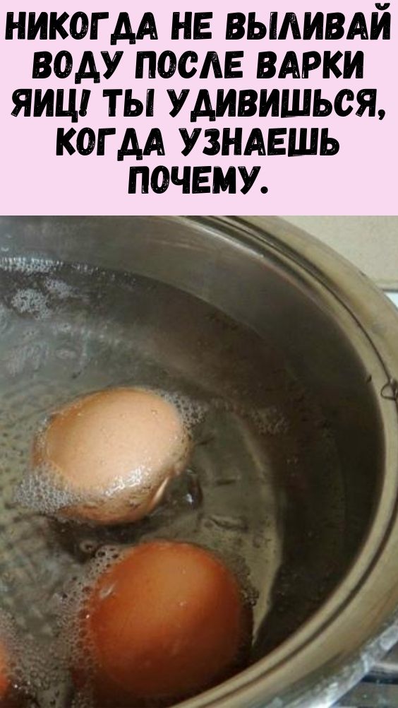 Никогда не выливай воду после варки яиц! Ты удивишься, когда узнаешь почему.