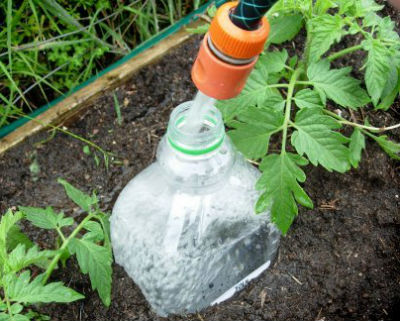 Полив помидор в теплице через пластиковые бутылки своими руками — преимущества и способы