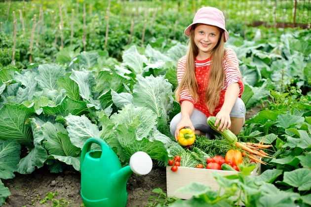 Здоровье сада: есть ли альтернатива пестицидам?