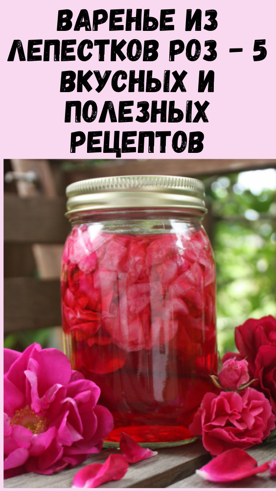 Варенье из лепестков роз − 5 вкусных и полезных рецептов