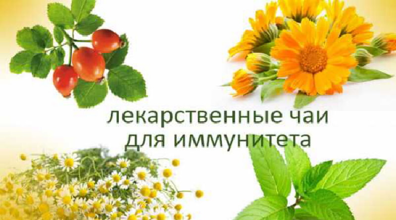 https://prolife.ru.com/wp-content/uploads/2019/09/chai-dlya-immuniteta.jpg