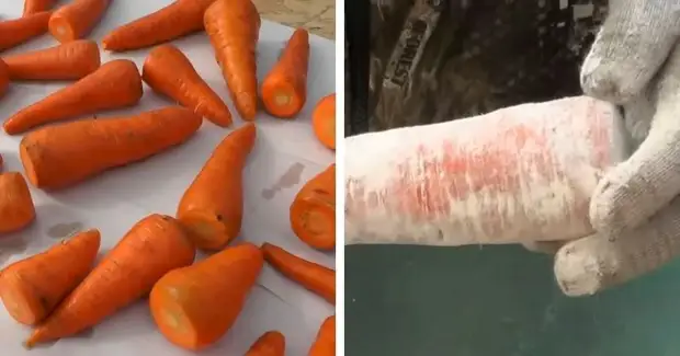 Простой способ сохранить сочную морковь без погреба
