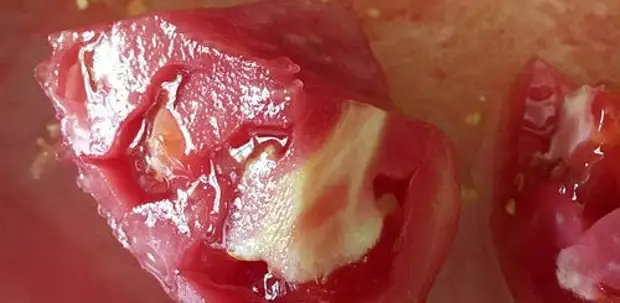 Почему внутри у помидоров белые жесткие прожилки или твердая сердцевина