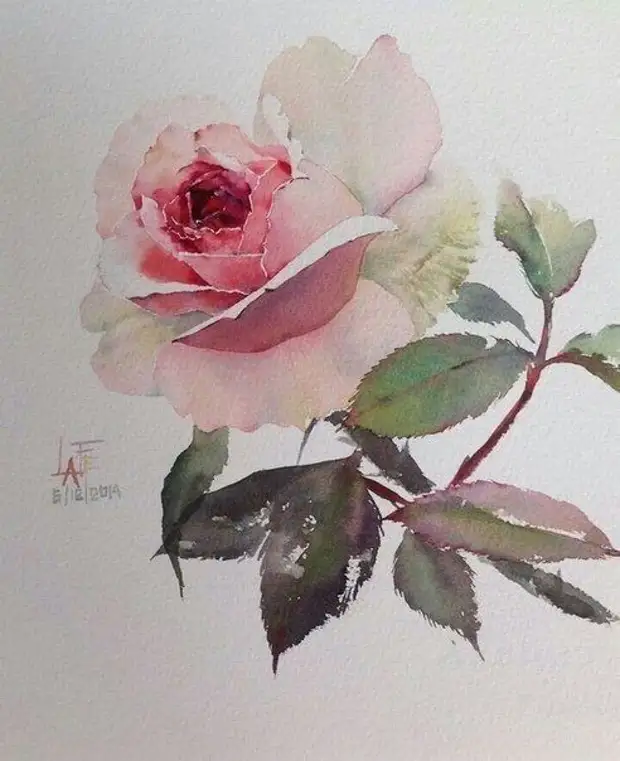 Рисуем акварельные розы: мастер-класс