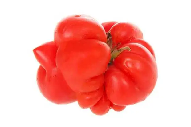 уродливые томаты