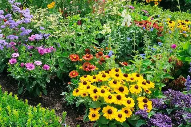 Ленивый сад: красивый участок при минимуме затрат