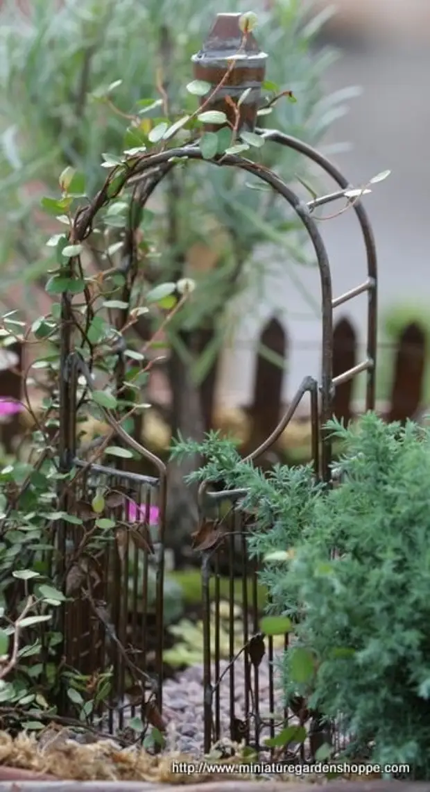 Практические идеи миниатюрных садов