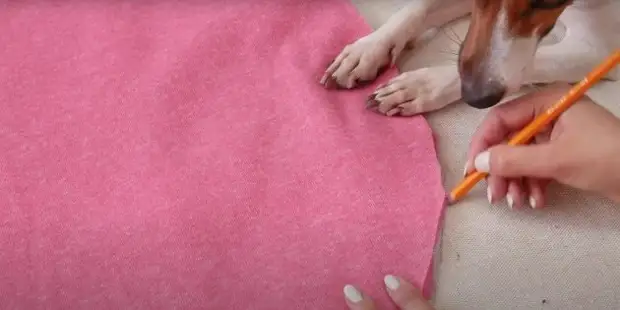 13 способов сделать комфортную лежанку для собаки своими руками