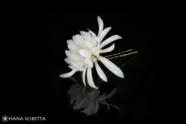 Hana Scibetta: в её руках распускаются цветы