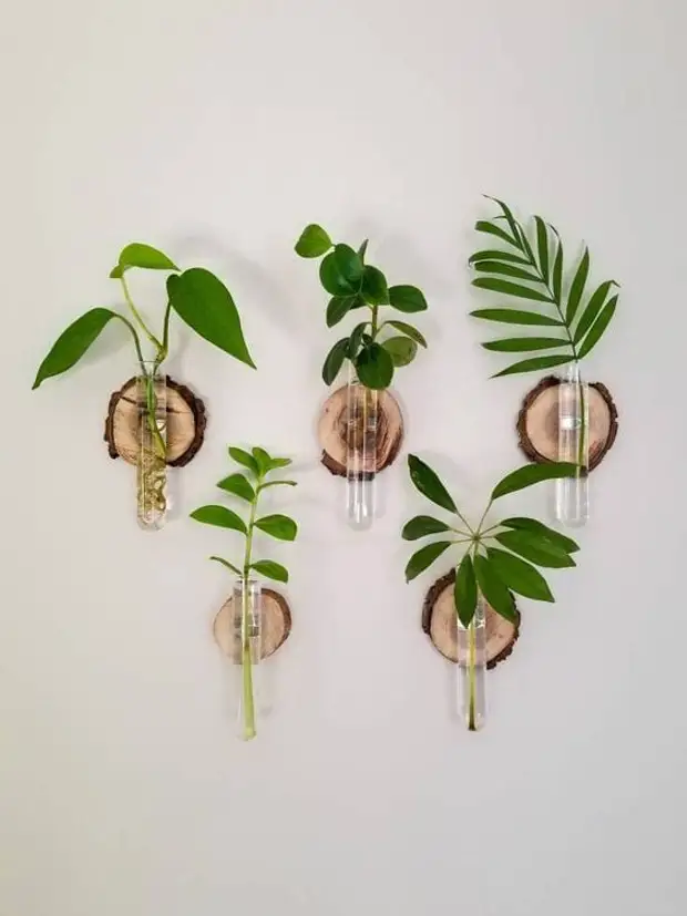 Идеи подставок для растений