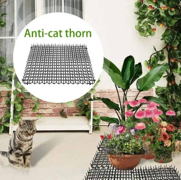 Защита цветочных горшков от кошек