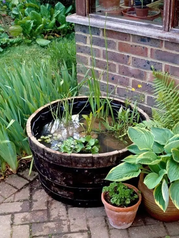 23 прекрасных идеи мини-пруда для красивого сада