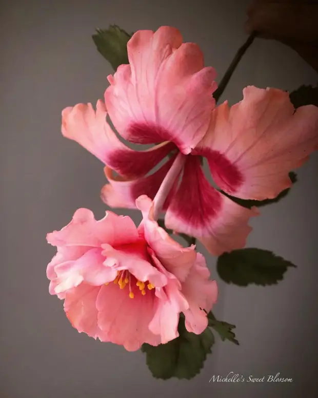 Сахарные цветы Мишель Нгуен, которые не отличить от настоящих