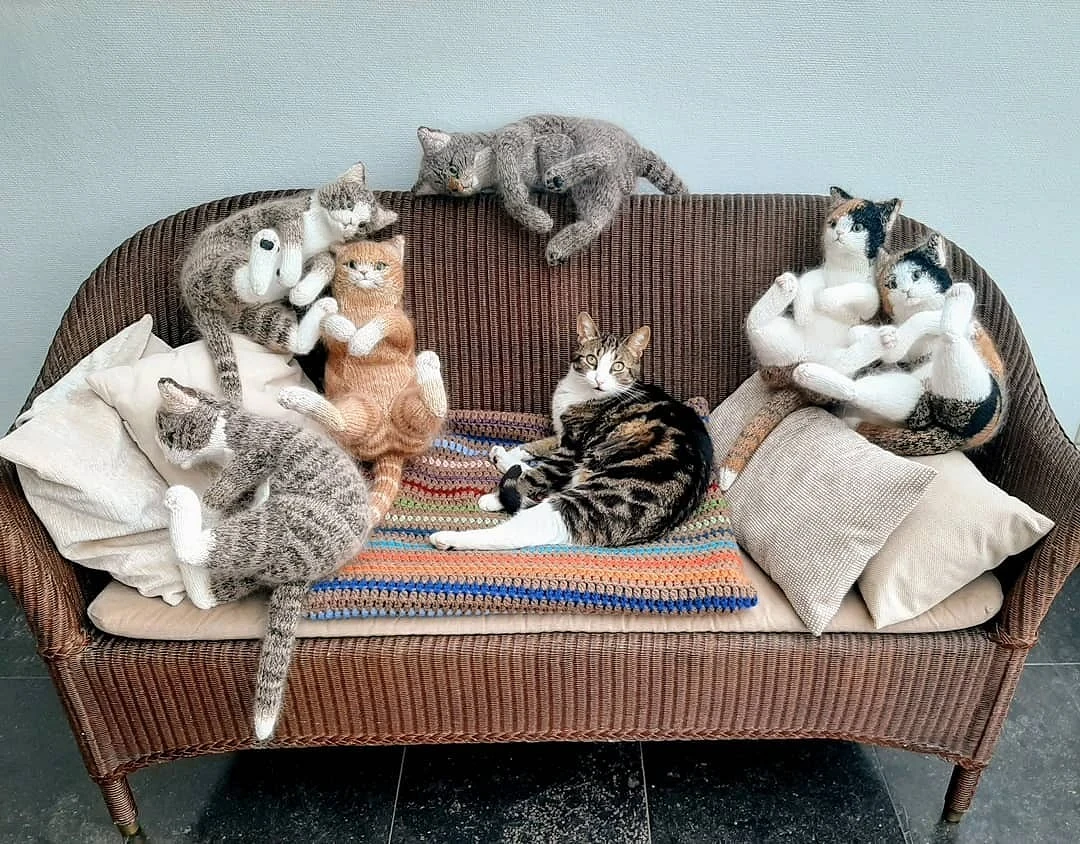 Вязаные котики удивительной реалистичности: рукодельный instagram недели