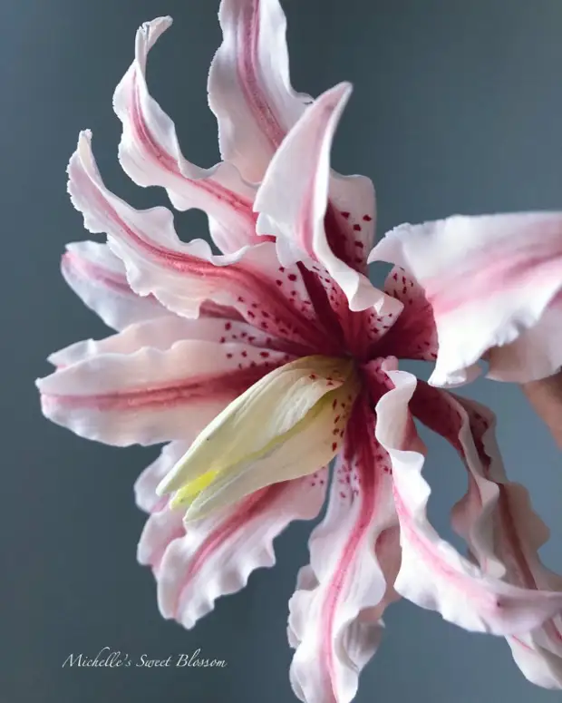 Сахарные цветы Мишель Нгуен, которые не отличить от настоящих