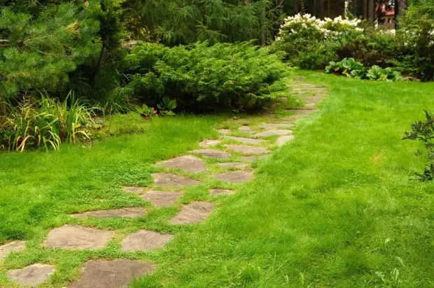 10 идей дизайна садовых дорожек, способных стать украшением участка