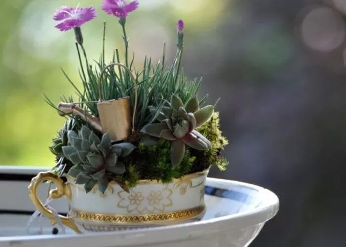 Как сделать сад в чайной чашке: 25 креативных идей