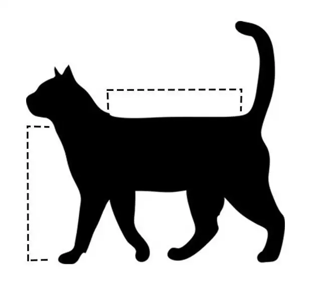 Сумка-переноска для кошки своими руками: выбор материала, выкройки, порядок шитья