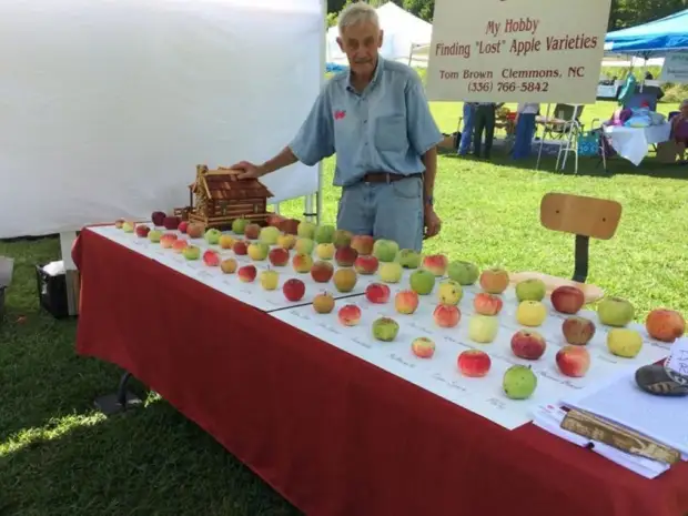 Пенсионер восстанавливает самые редкие сорта яблок