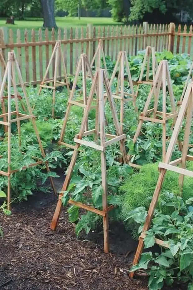 Отличные идеи для сада и огорода, которые облегчат работу
